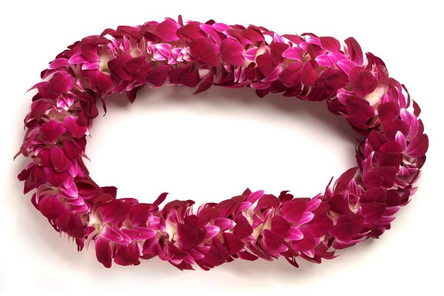 Honolulu Airport Custom Lei Greeting - Choose Your Lei - What the 20-minute appointment really includes