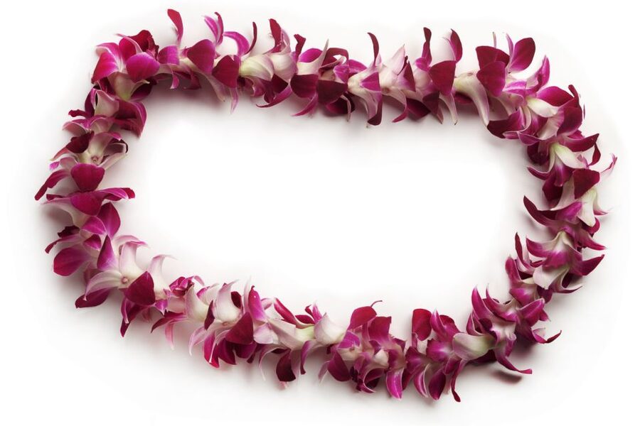 Honolulu Airport Custom Lei Greeting - Choose Your Lei - Who gets the most value from $40 per person