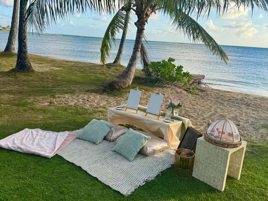 Honolulu: Beachside Luxury Picnic & Paint - Key details at a glance