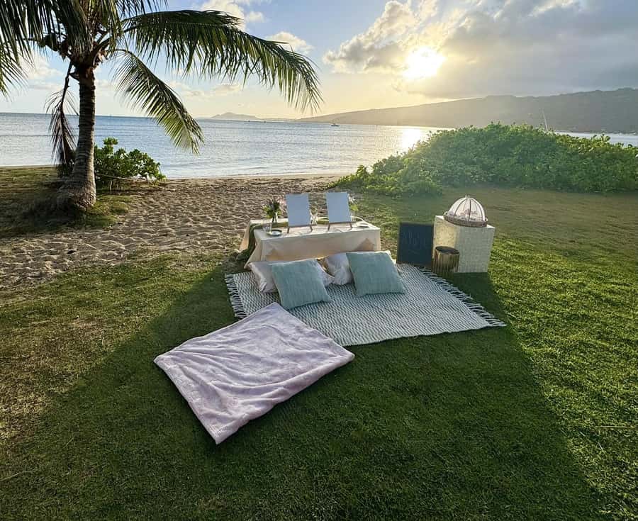 Honolulu: Beachside Luxury Picnic & Paint - What is included in the painting kit