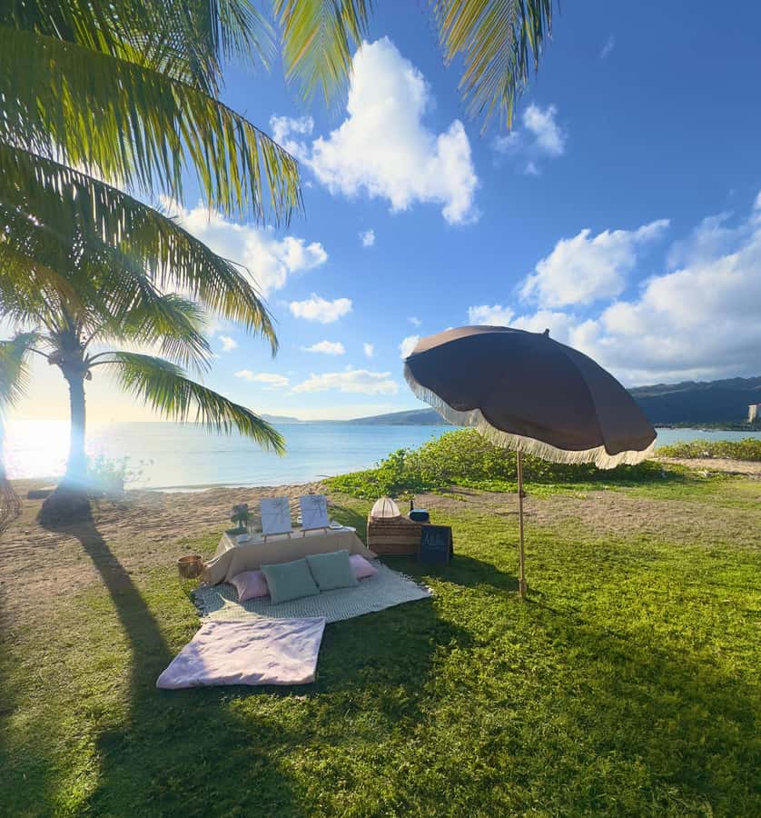 Honolulu: Beachside Luxury Picnic & Paint - Photos, music, and the personal touches