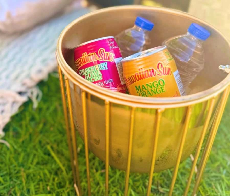 Honolulu: Beachside Luxury Picnic & Paint - Meeting Erica and choosing your painting plan