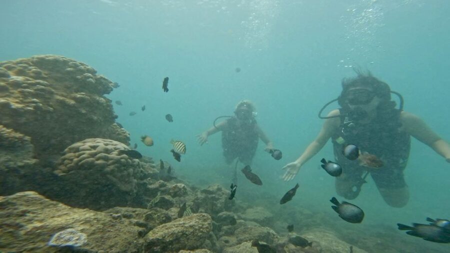 Honolulu: Beginner Scuba Diving Tour With Free Videos - FAQ