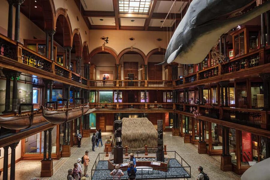 Honolulu: Bishop Museum General Admission Ticket - Key things to know before you go