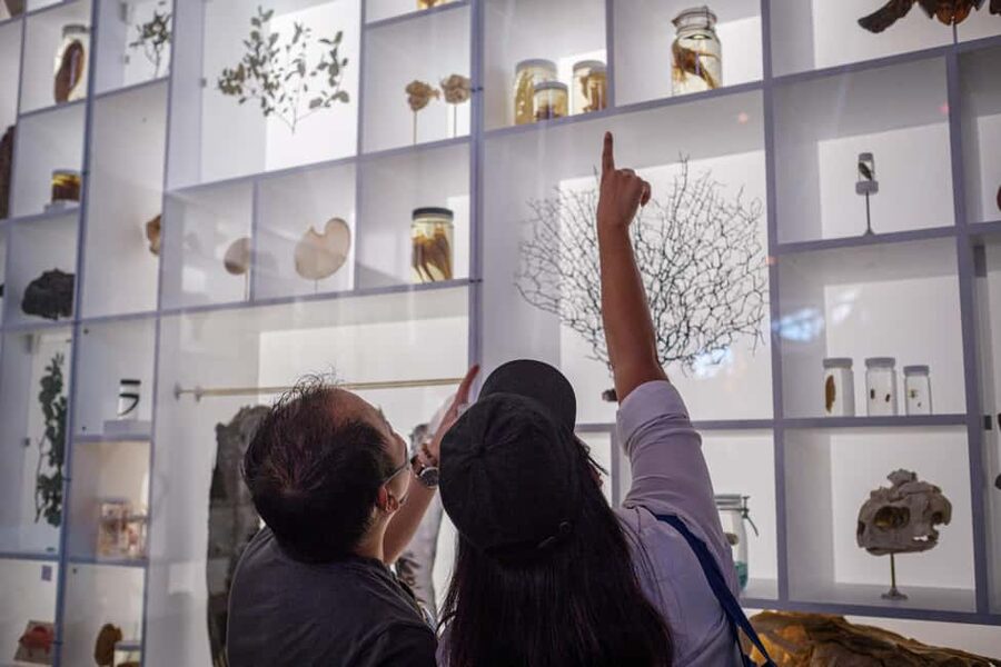Honolulu: Bishop Museum General Admission Ticket - Practical rules that affect your visit