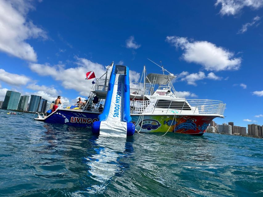 Honolulu: Deluxe Waikiki Snorkel and Wildlife Cruise - The Waikiki anchorage and 1.5 hours in the water