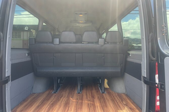 Honolulu Harbor Cruise Terminal Transfer by Luxury Vehicle - What the vehicle and luggage service are really like