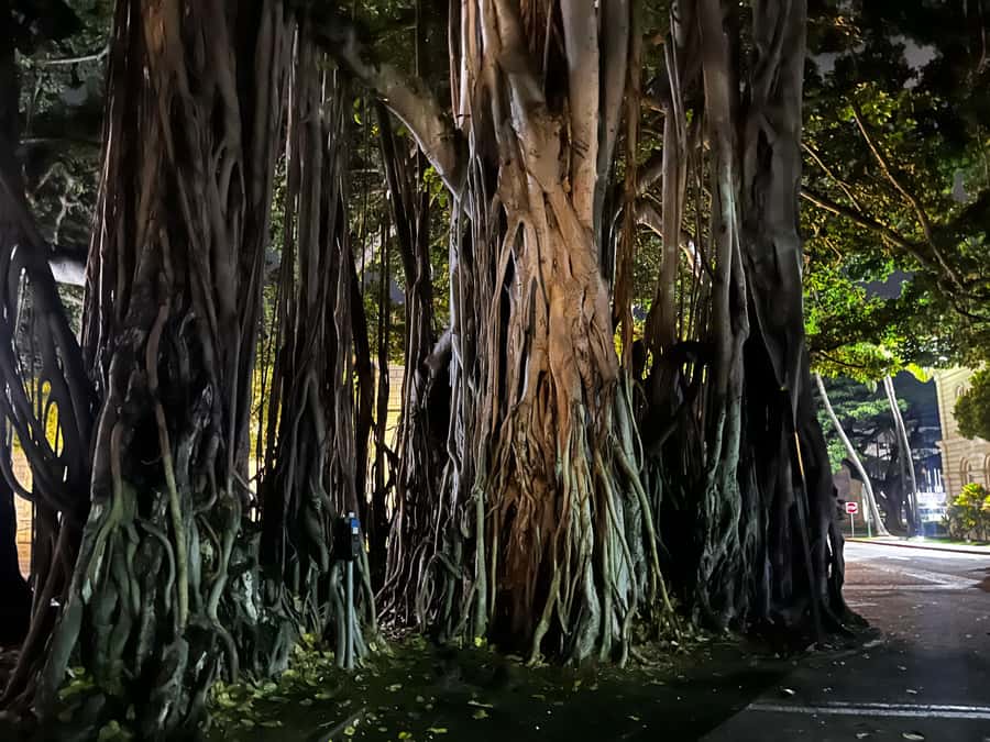 Honolulu Haunts: Ghosts and Spirits Walking Tour - Is $27 a fair price?