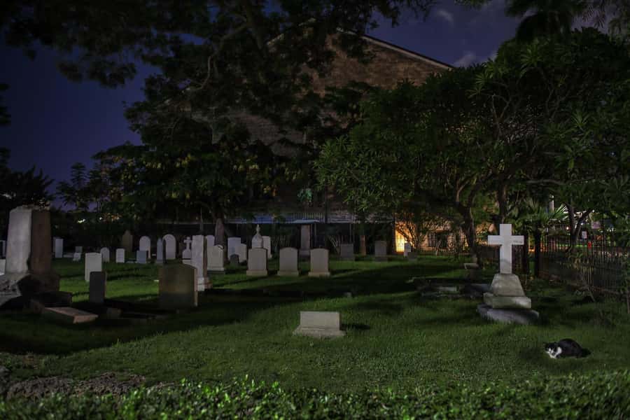 Honolulu Haunts: Ghosts and Spirits Walking Tour - Who should book Honolulu Haunts?