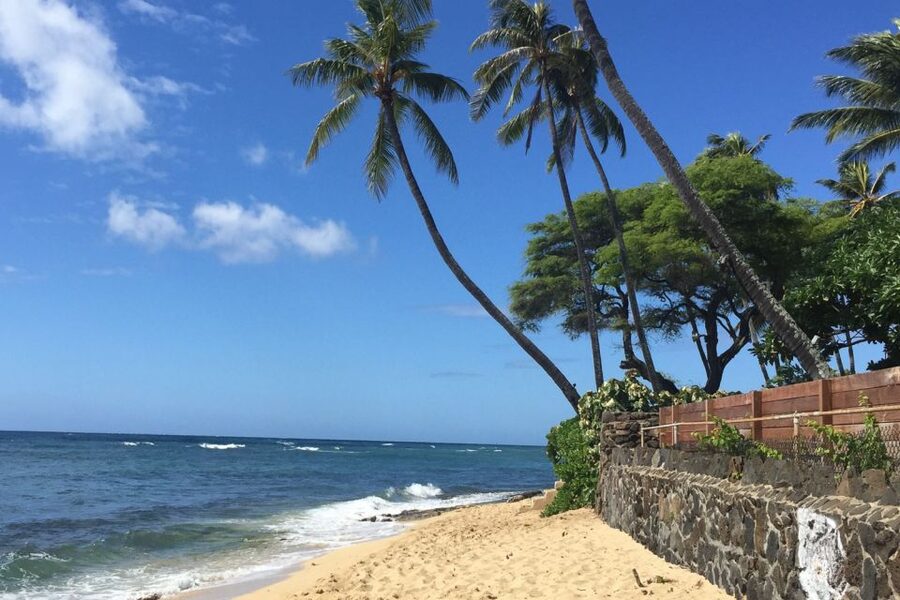 Honolulu: Highlights of Oahu Small Group Tour - North Shore surf beaches and the story of Eddie