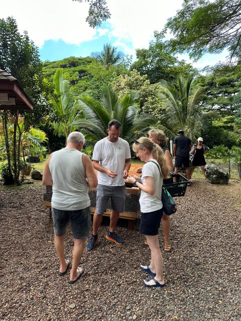 Honolulu: Highlights of Oahu Small Group Tour - Movie locations without the movie-tour price