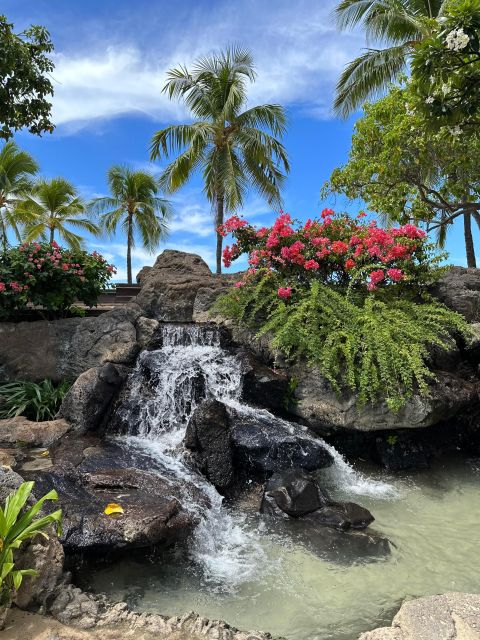 Honolulu: Highlights of Oahu Small Group Tour - The van, the timing, and the real value