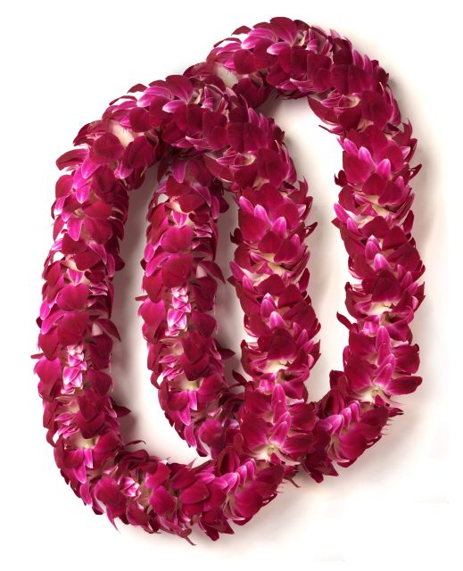 Honolulu Honeymoon Airport Lei Greeting - The 20-minute welcome, step by step