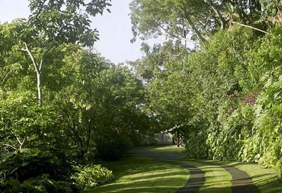 Honolulu: Liljestrand House Architectural Tour - Heat, shoes, and other practical matters
