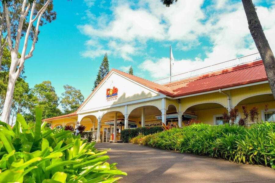 Honolulu: Oahu Island Full-Day Guided Tour by Bus with Lunch - Bus comfort, timing, and physical demands