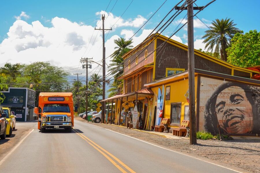 Honolulu: Oahu Island Full-Day Guided Tour by Bus with Lunch - Waimea Valley is the active heart of the tour