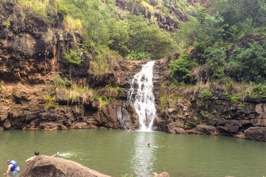 Honolulu: Oahu Island Full-Day Guided Tour by Bus with Lunch - Lunch keeps the schedule moving, but the location can change