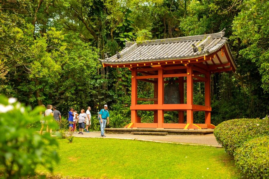 Honolulu: Oahu Island Full-Day Guided Tour by Bus with Lunch - Nuʻuanu Pali gives the day its dramatic start