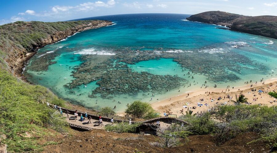 Honolulu: Oahu Island Highlights Tour with Multiple Stops - Dole Plantation and the pineapple stop
