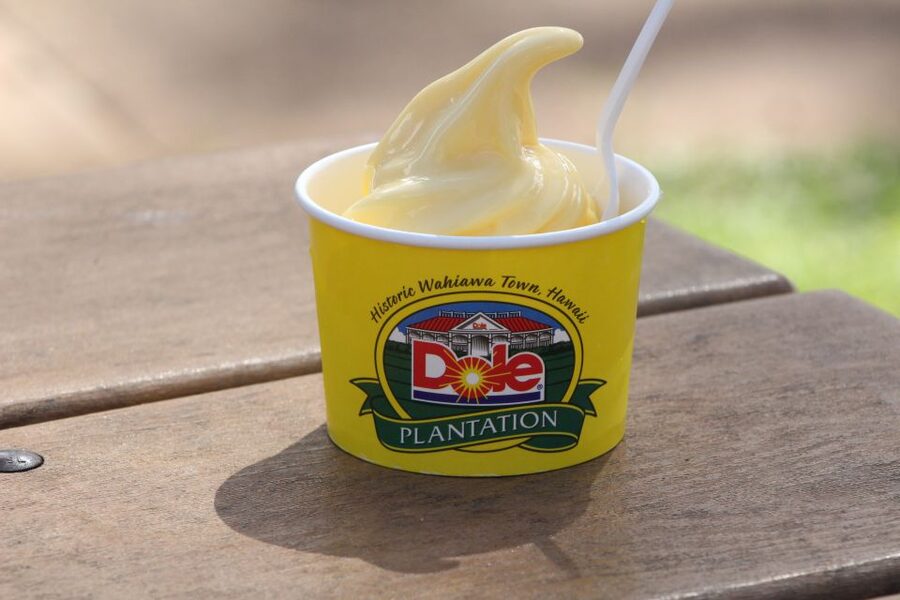 Honolulu: Oahu Sights and Bites Circle Island Foodie Tour - The pace, vehicle, and comfort level