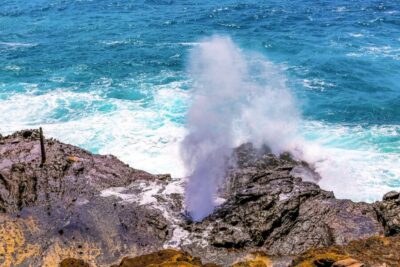 Oahu Sights and Bites Circle Island Foodie Tour
