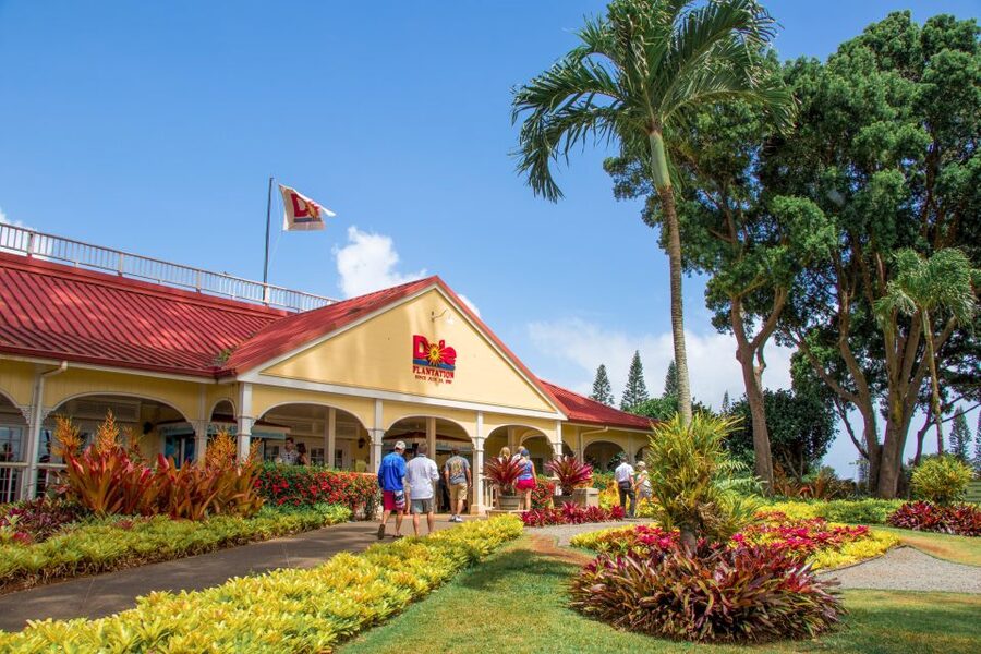 Honolulu: Oahu Sights and Bites Circle Island Foodie Tour - Fruit, turtles, and the return through central Oahu