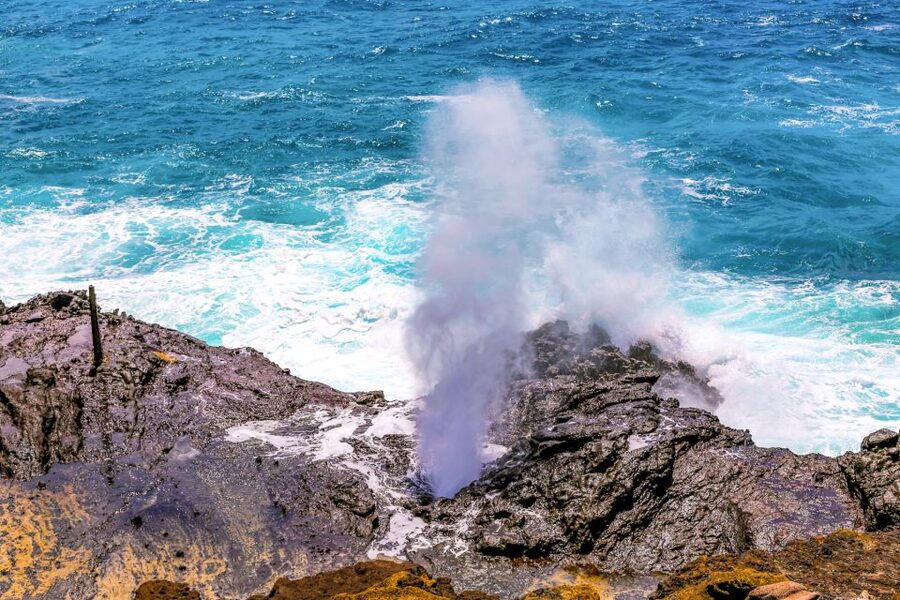 Honolulu: Oahu Sights and Bites Circle Island Foodie Tour - Halona Blowhole and Hanauma Bay from the coastal road
