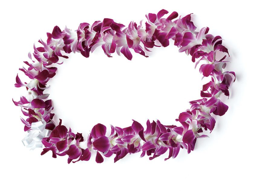 Honolulu: Private Airport Transfer with Arrival Lei Greeting - What the driver service is really like