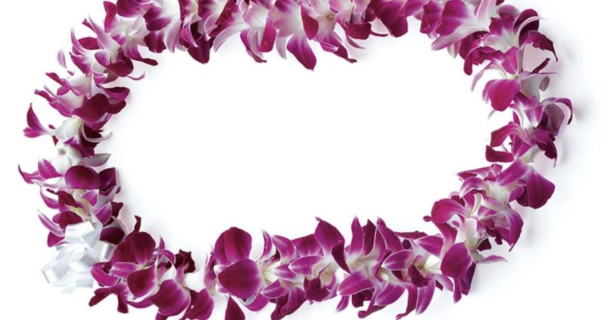 Honolulu: Private Airport Transfer with Arrival Lei Greeting - From Honolulu Airport to Waikiki in about 30 minutes