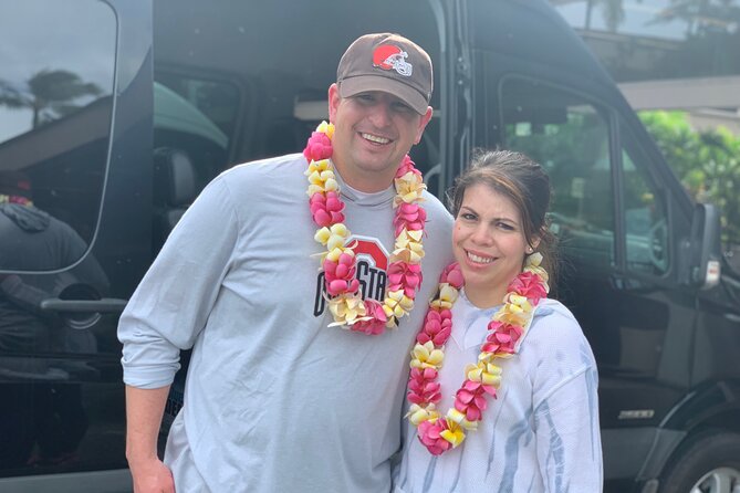 Honolulu Private Transfer: Airport, Port, Hotel (1-12 Passengers) - A private arrival without the Waikiki taxi scramble