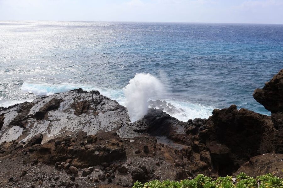 Honolulu: Stunning Views of Oahu! Half-day Scenic Tour - What to bring for the seven stops