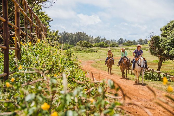 Horseback Ride Like an Authentic Paniolo in Kahuku - Quick reasons to consider this ride