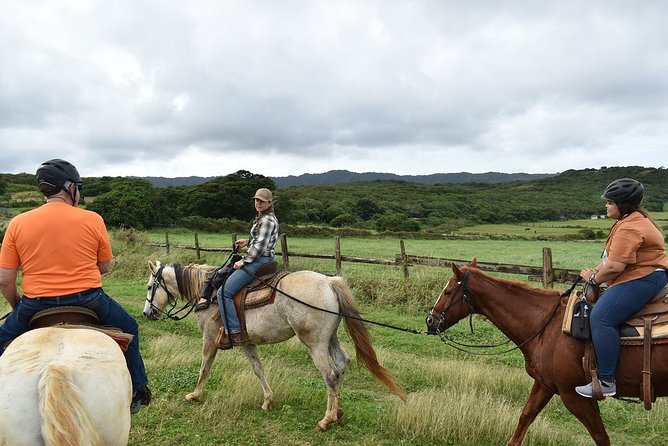 Horseback Ride Like an Authentic Paniolo in Kahuku - From check-in to the saddle