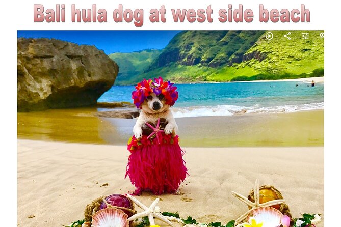 Incredible west side hidden gems -PLEASE CONTACT BEFORE BOOKING - Pray for Sex Beach and quieter shoreline stops