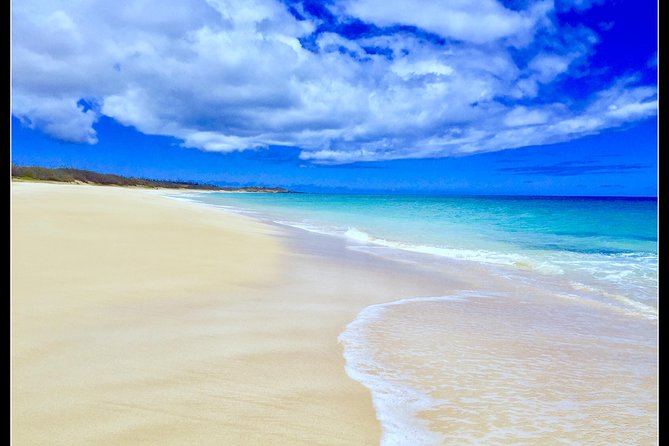 Incredible west side hidden gems -PLEASE CONTACT BEFORE BOOKING - What $530 per person really buys