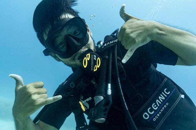 Incredibly Fun Coral Reef Giant Sea Turtles 4hour Boat Scuba Tour - The boat ride and the first descent