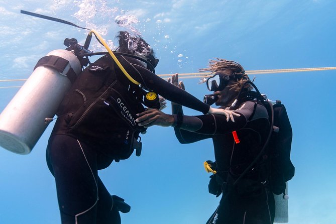 Incredibly Fun Coral Reef Giant Sea Turtles 4hour Boat Scuba Tour - Is $299 a fair price?