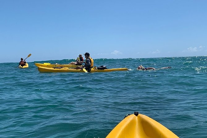 Kailua 2-Hour Guided Kayaking Excursion, Oahu - How the guides shape the experience