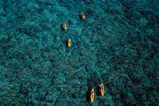 Kailua Bay, Oahu: Epic Kayak and Snorkel to Islands - Why This Kailua Paddle Is Worth Your Time