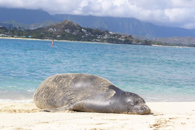 Kailua Bay, Oahu: Epic Kayak and Snorkel to Islands - Lanikai Beach: Beautiful Water, Variable Snorkeling