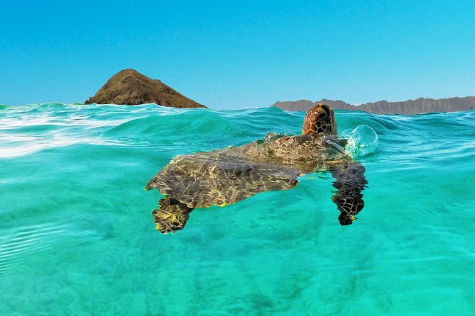 Kailua Bay, Oahu: Epic Kayak and Snorkel to Islands - Flat Island and the Mokulua Islands