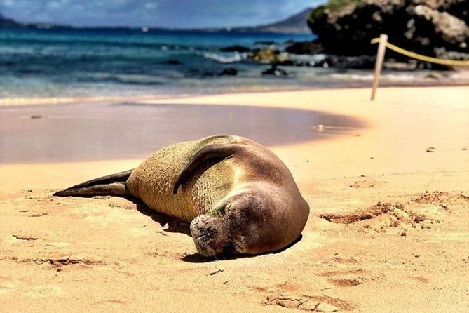 Kailua Bay, Oahu: Epic Kayak and Snorkel to Islands - Starting at Kailua Beach Adventures