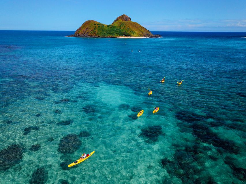 Kailua: Mokulua Islands Guided Kayak and Snorkeling Tour - Why this Kailua paddle feels different