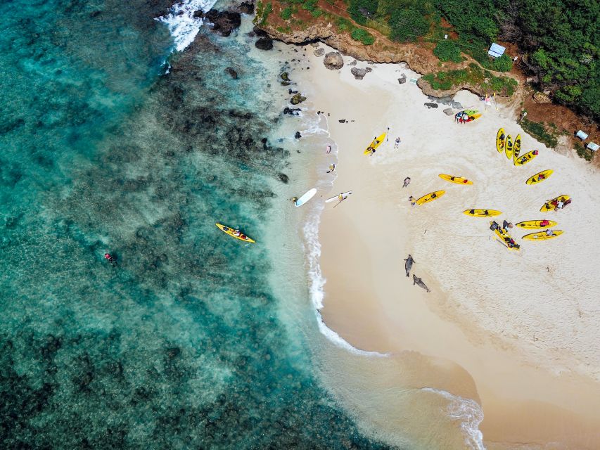 Kailua: Mokulua Islands Guided Kayak and Snorkeling Tour - Snorkeling near Kailua’s turtle feeding grounds
