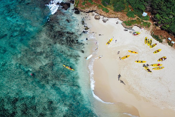 Kailua Twin Islands Guided Kayak Tour, Oahu - The five to ten minute kayak-cart walk