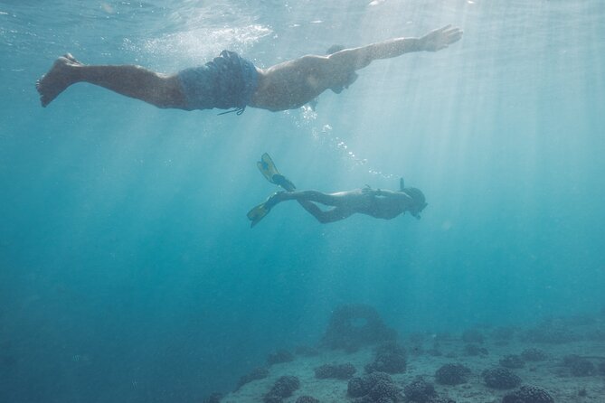 Kayak, Snorkel, and Surf with Turtles in Honolulu - Why the five-person limit matters
