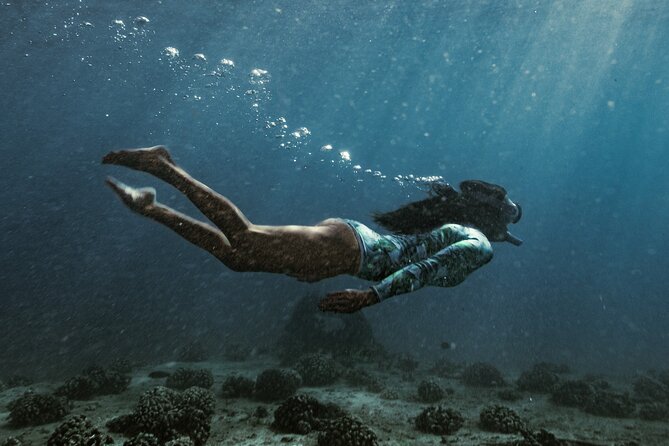 Kayak, Snorkel, and Surf with Turtles in Honolulu - Who will enjoy this Honolulu water adventure