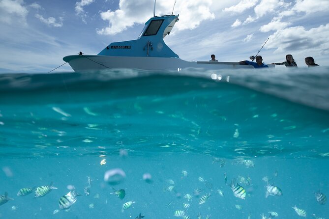 Kayak, Snorkel, and Surf with Turtles in Honolulu - A 20-minute stop at a shipwreck