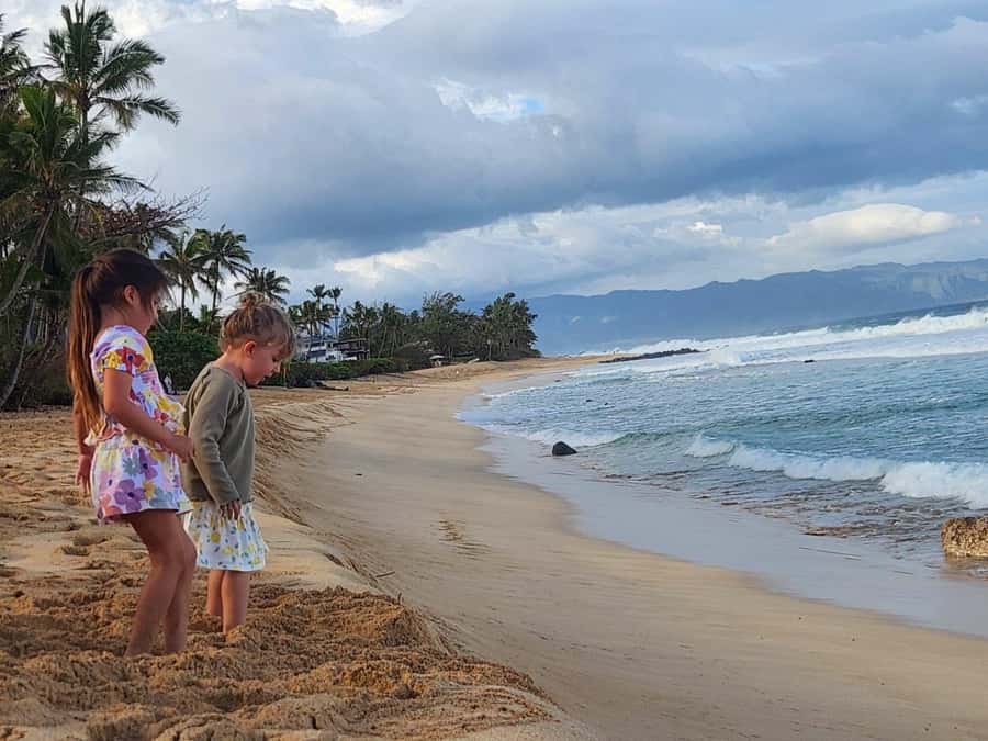 Kevo's Beach Bus - One hour at Waimea Bay