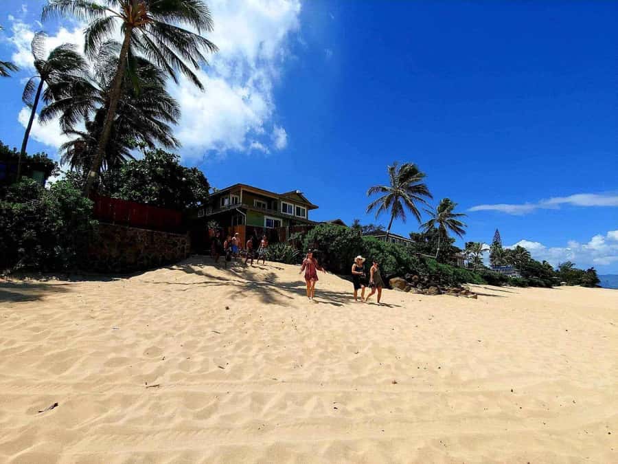 Kevo's Beach Bus - Haleiwa for plate lunch and shave ice